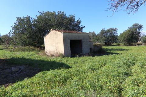 Herregård i Ispica, Ragusa, Ispica - € 120 000 | Ref: V003074 - foto 40